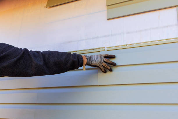 Historical Building Siding Restoration in Elsa, TX